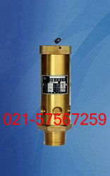 a28x 16t空壓機專用銅安全閥